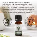 Pure White Camphor Essential Oil for Aromatherapy