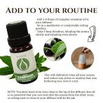 Pure White Camphor Essential Oil for Aromatherapy
