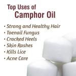 Pure Camphor Oil with Dropper - 15ml