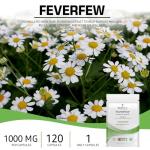 Bodygenix Feverfew 1000mg for Headache Relief