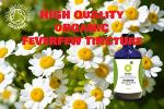 Organic Feverfew Tincture 100ml for Wellness