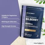 High Strength Bilberry Extract 8,000mg - 120 Capsules