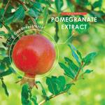 Organic Pomegranate Extract 10,000mg - 120 Capsules
