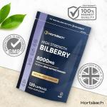 High Strength Bilberry Extract 8,000mg - 120 Capsules