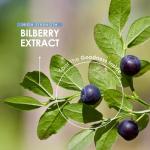 Bilberry Extract 30,000mg - 90 Vegan Capsules