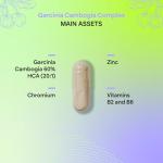 Garcinia Cambogia 2000mg with B Vitamins & Zinc