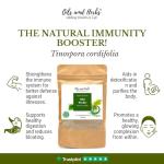 Organic Giloy Powder – 100% Pure Guduchi (300gm)