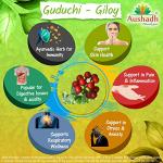Guduchi Capsules - Herbal Immune Support