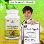 Guduchi Capsules - Herbal Immune Support