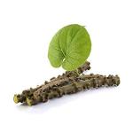 Herbal Magic Pure Giloy Powder for Smoothies & Soups