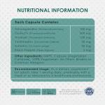 Herbal Immunity Booster with 6 Natural Ingredients