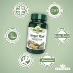 Nature's Aid Ginger Root 500mg - Vegan Digestive Support