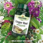 Nature's Aid Ginger Root 500mg - Vegan Digestive Support