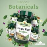 Nature's Aid Ginger Root 500mg - Vegan Digestive Support