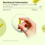 Berberine 500mg Capsules - 120 Vegan Capsules