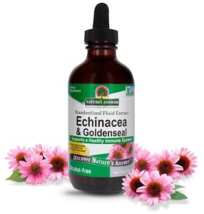 Alcohol-Free Echinacea Root & Goldenseal, 120 ml