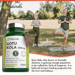 Gotu Kola Vegan Tablets for Stress Relief