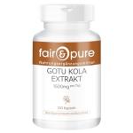 Gotu Kola Extract 1500mg with Vitamin C & Zinc