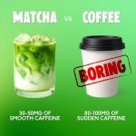 Ted's Authentic Matcha Latte Pods - 60 Count