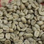 Ethiopian Green Coffee Beans for Home Roasting
