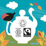 Organic Pure Green Tea Bags – 40 Count