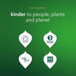 Pukka Herbs Supreme Matcha Green Tea Box