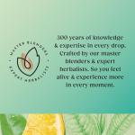 Twinings Cleanse Tea with Matcha, Lemon & Fennel