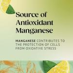 Twinings Lemon Green Tea - 20 Tea Bags