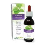 Alcohol-Free Gymnema Liquid Extract Drops - 120 ml