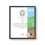 Super Strength Gudmar Capsules for Blood Sugar Support