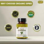 Organic Gymnema Sylvestre 120 Tablets