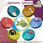 Ayushya Gymnema Sylvestre 500mg Capsules, 60 Count