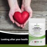 Gymnema Sylvestre Capsules for Blood Sugar Support