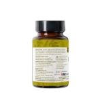 Organic Gymnema Sylvestre 120 Tablets