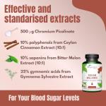 Vegavero Blood Sugar Control - 120 Vegan Capsules