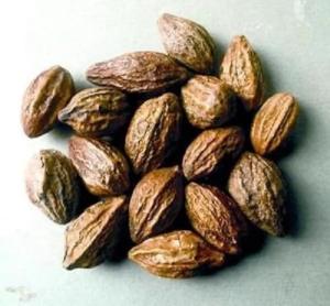 Terminalia Chebula Powder - 50g