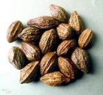 Terminalia Chebula Powder - 50g