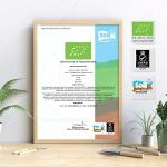 Organic Hawthorn Berry 1000mg – 90 Vegan Capsules