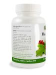 Hawthorn Berry 450mg – 90 Additive-Free Capsules