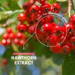Organic Hawthorn Extract 3500mg – 90 Vegan Capsules