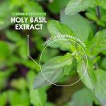 Holy Basil Extract 7500mg - 90 Vegan Capsules