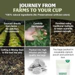 Holy Basil Tea Bags - 100 Count, Caffeine Free