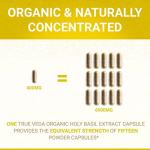 Organic Holy Basil Capsules with Vitamin B6 60ct