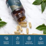 Organic Tulsi Capsules 500mg - 60 Count