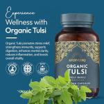 Organic Tulsi Capsules 500mg - 60 Count