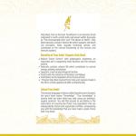 Organic Holy Basil Capsules with Vitamin B6 60ct