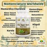 Bitter Gourd Capsules for Healthy Living