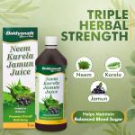 Baidyanath Neem Karela Jamun Juice - Blood Sugar Support