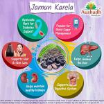 Jamun Karela Health Booster Powder