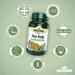 Nature's Aid Sea Kelp Iodine Tablets - Vegan 180ct